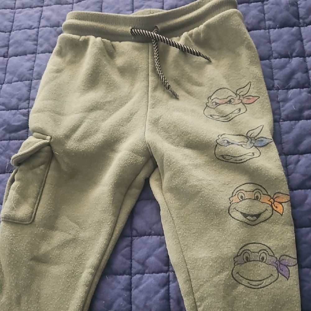 Kids Ninja Turtle Jogger Pants - Green